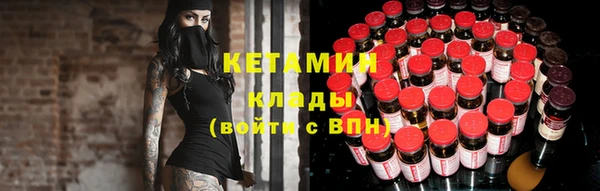 крисы Алексин