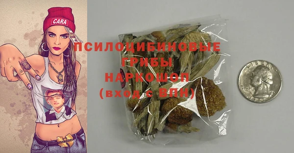 крисы Алексин